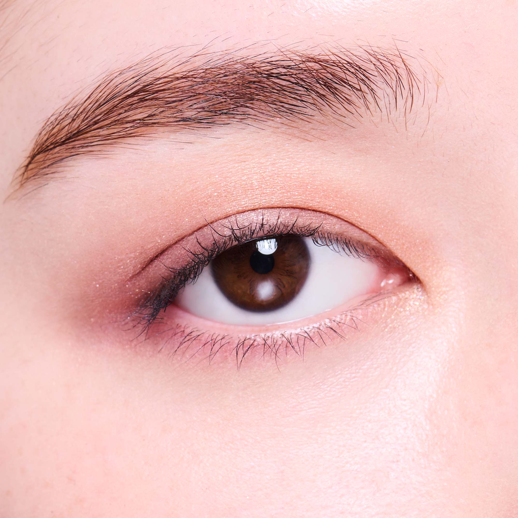 #color_01 DESERT FLOWER