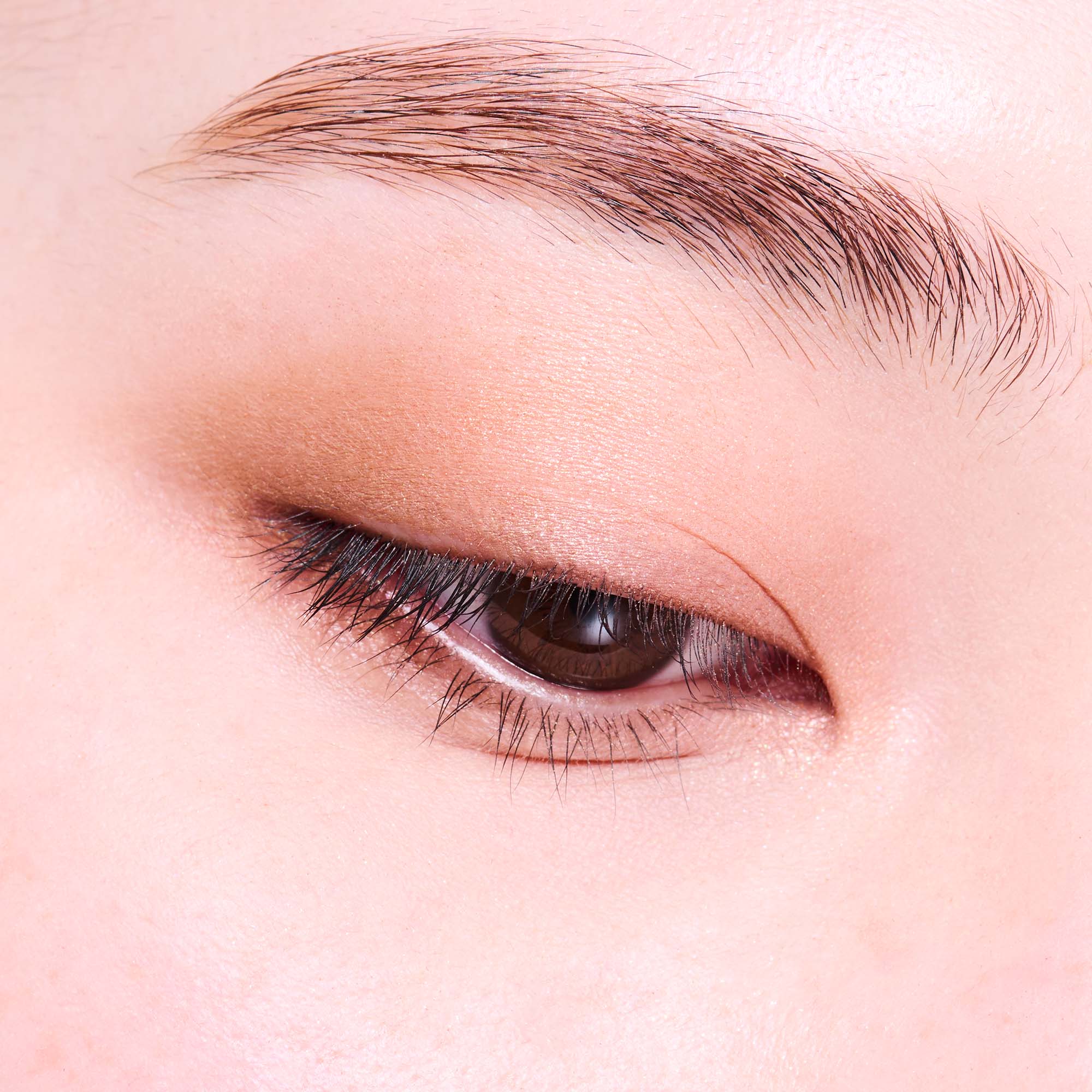 #color_04 MON PETIT AMI